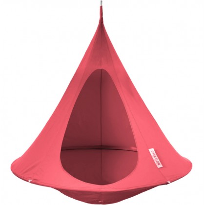 Cacoon Single Coral Rose
